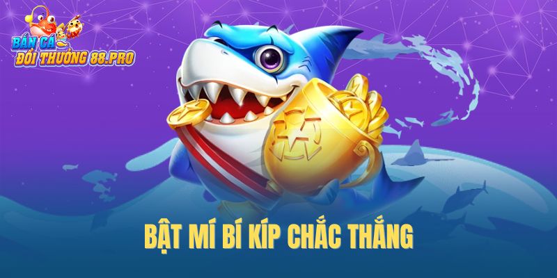 Bật mí bí kíp chắc thắng Bật mí bí kíp chắc thắng
