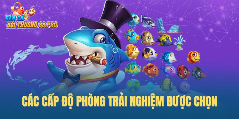 Các cấp độ phòng trải nghiệm được chọn