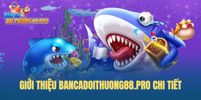 Giới thiệu Bancadoithuong88.pro chi tiết