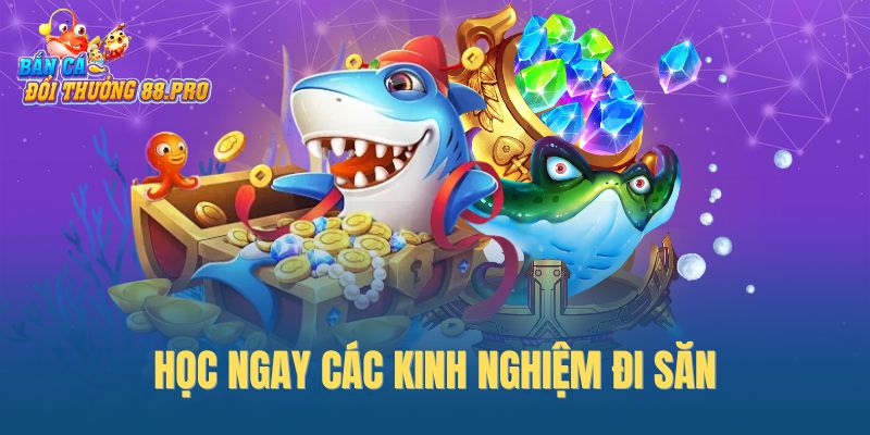 Học ngay các kinh nghiệm đi săn