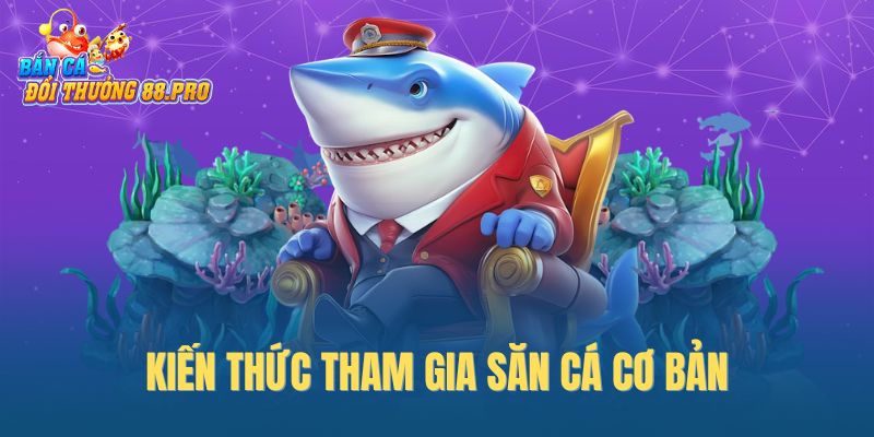 Kiến thức tham gia săn cá cơ bản