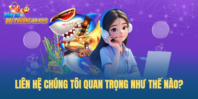 Liên hệ chúng tôi quan trọng như thế nào?