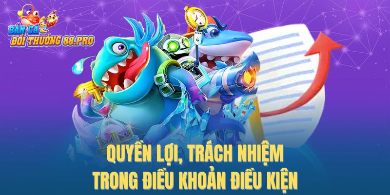 Quyền lợi, trách nhiệm trong điều khoản điều kiện 