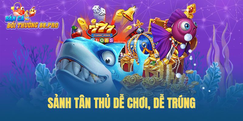 Sảnh tân thủ dễ chơi, dễ trúng
