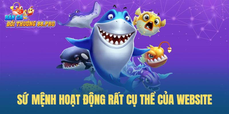 Sứ mệnh hoạt động rất cụ thể của website