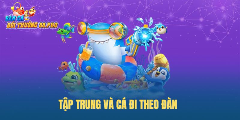 Tập trung và cá đi theo đàn