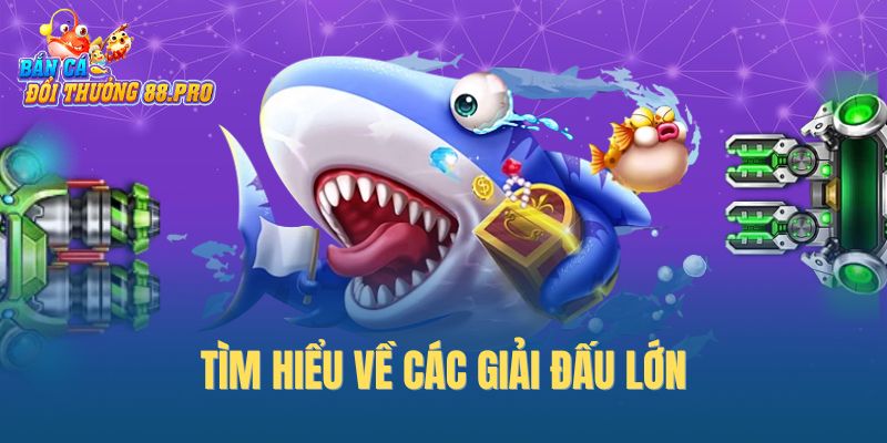Tìm hiểu về các giải đấu lớn
